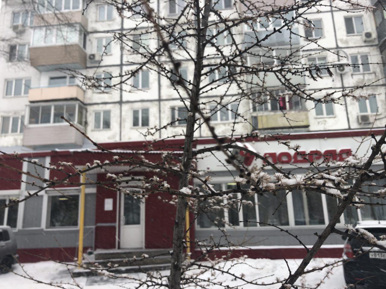 Весна во Владивостоке