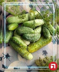 Елена Рослая